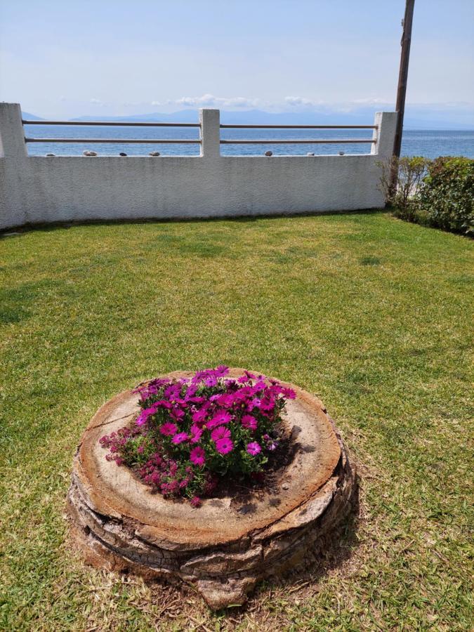 Platanidia Apartment Pelion ภายนอก รูปภาพ
