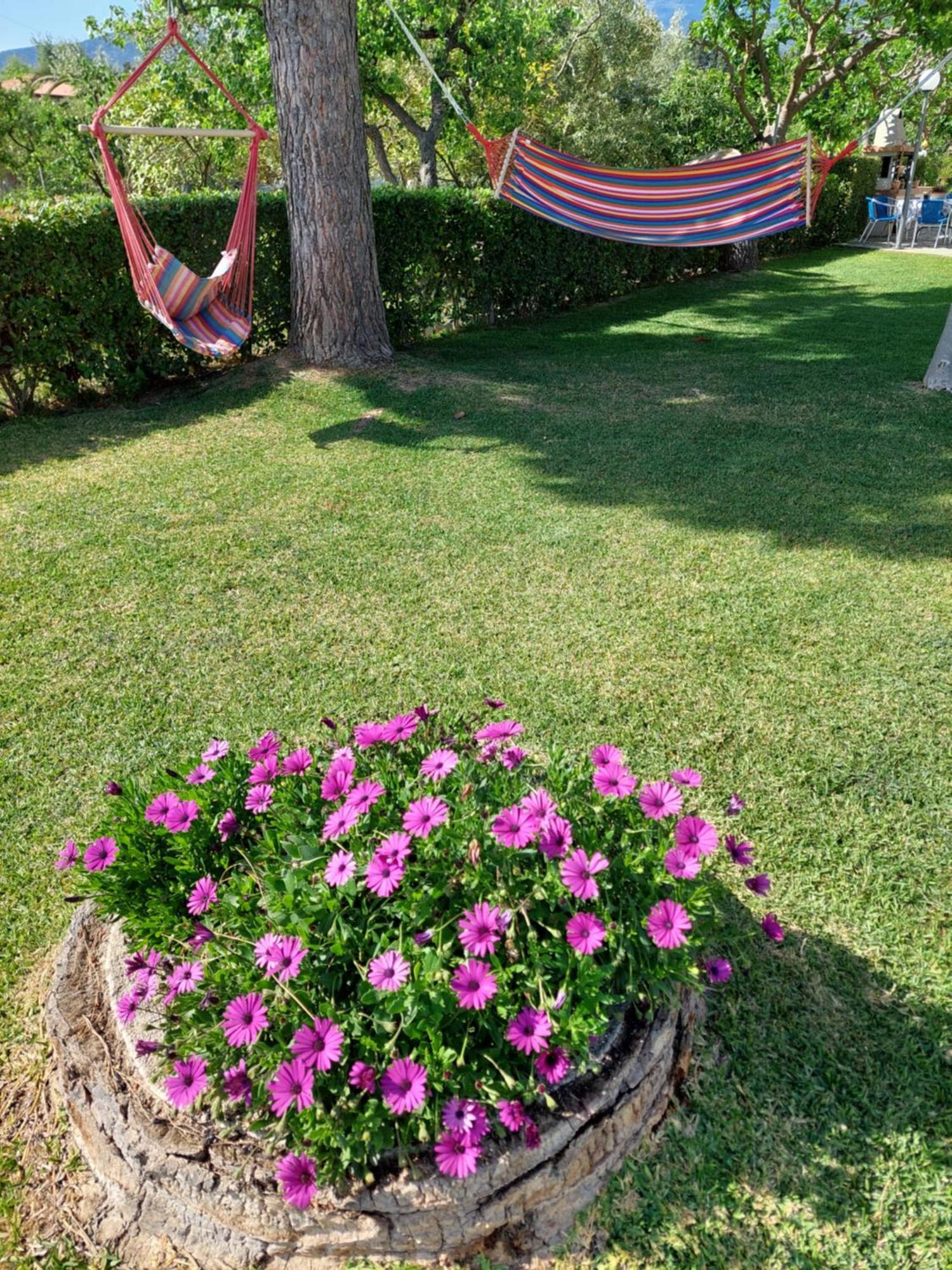 Platanidia Apartment Pelion ภายนอก รูปภาพ